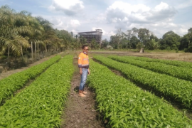 CMI komitmen gulirkan CSR bina Poktan