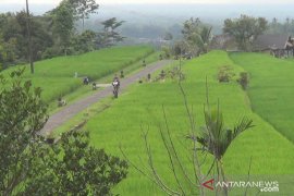 Tabanan siapkan tiga destinasi wisata untuk terima wisman pada Juli (video)
