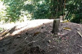 Viral kuburan menggelembung jadi sebesar mobil, ini faktanya!