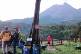 Baca peluang, warga Kemalang termotivasi tanam kopi