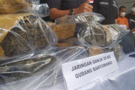 Dua warga Banyuwangi terancam 20 tahun penjara atas kepemilikan 25 kg ganja
