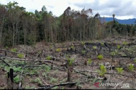 Sengketa lahan jadi perhatian Bupati Nunukan