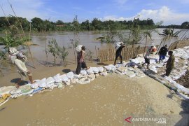 Warga gotong royong perbaiki tanggul