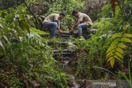 Jalan berkilo-kilo demi menjaga keberlanjutan hutan