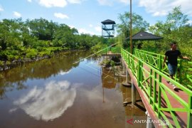 Treking Mangrove Apar Pariaman Page 1 Small