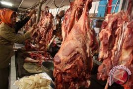 PT Berdikari akan datangkan 420 ton daging sapi impor ...