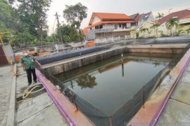 Budi daya udang vaname skala rumah tangga cukup mudah dan menguntungkan