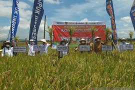 Bupati Jember minta Pupuk Indonesia bantu petani tingkatkan produktivitas