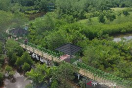 Treking Mangrove Apar Pariaman
