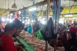 Balai Karantina Pertanian awasi pasokan daging ayam ke Ternate