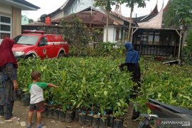 Bantuan bibit gratis dapat memberikan manfaat-perbaikan ekonomi warga