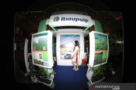 Ikan mati di Sungai Kampar, Pakar: RAPP miliki alat pengukur kadar air