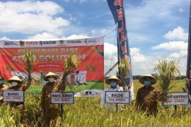 Serapan gabah dan beras Bulog Jember tertinggi se-Jatim