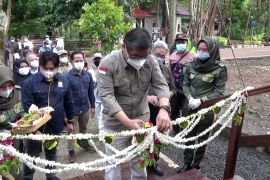 KLHK targetkan rehabilitasi 36 ribu hektare lahan di&nbsp;Kalsel