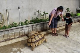 Mengisi akhir pekan di penangkaran kura-kura Palembang