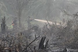 Tiap kabupaten kota di Riau bangun posko siaga dan siapkan ekskavator