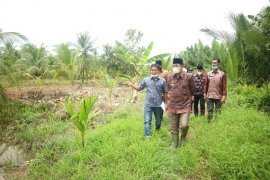 Bupati Tanjabbar janjikan normalisasi embung