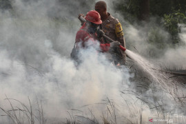 Waduh, 901 hektare lahan di Riau terbakar selama 2021