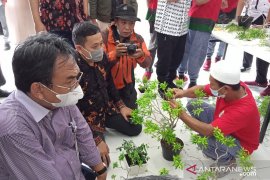 Dirjen Rehabilitasi Sosial : Loka Rehabilitasi di Takalar berperan multifungsi