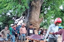 Banjir Flores, warga bangun jembatan darurat evakuasi korban
