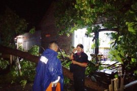 Puluhan rumah warga Situbondo porak-poranda diterjang angin kencang