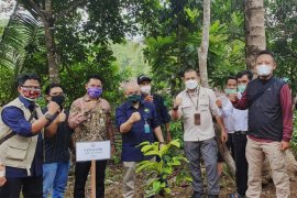 BP-DAS kembali programkan pembibitan tanaman RHL atasi lahan kritis