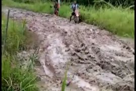 Jalan Desa Sumber Makmur di Kabupaten Mesuji becek dan berlumpur  Page 3 Small