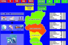 Pasien positif COVID-19 di Kabupaten Penajam bertambah 8 orang
