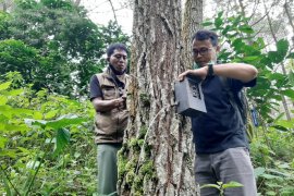 BKSDA lepas tiga kamera trap terpasang di lereng Gunung Wilis
