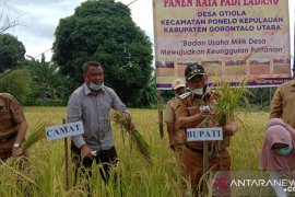 Bupati Gorontalo Utara sebut daerahnya alami surplus beras