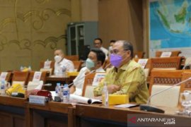 Pemprov Babel minta kebijaksanaan pemerintah pusat naikin royalti dan saham PT Timah