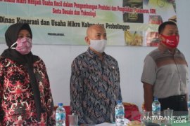 Pemkab Probolinggo berikan pelatihan manajemen bisnis kepada pelaku UMKM