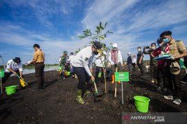 PJ Gubernur  Kalsel Tanam Pohon