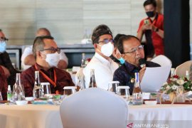 Gubernur minta Pusat keluarkan kebijakan spesifik untuk Bali