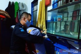 Petugas amankan belasan telepon genggam napi Lapas Cianjur