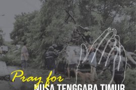 Warga Boven Digoel galang dana bantuan kemanusiaan bencana alam NTT