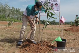 Dukung revolusi hijau, Pemkab HSS tanam aneka pohon buah-buahan