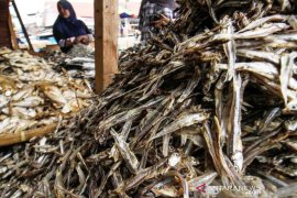 Harga Ikan Asin Jelang Ramadhan Page 1 Small