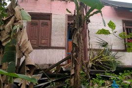 Kerugian akibat puting beliung di Pasaman Barat Rp657 juta