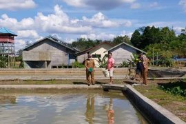 DPKP Kabupaten Gumas paparkan analisa laba budi daya ikan