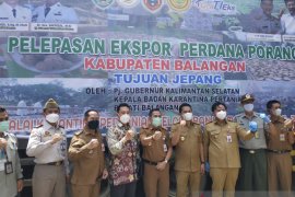 Sekda Kalsel lepas ekspor perdana porang asal Balangan ke Jepang