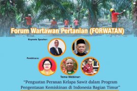 Stafsus Wapres: Industri sawit Papua berkontribusi angkat ekonomi