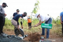 DLH dan KPH Kusan Tanah Bumbu tanam pohon di Gunung Tinggi