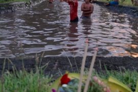 Warga Denpasar adakan Tradisi Mecandu saat Umanis Galungan