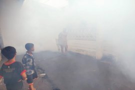 Warga Pekalongan diminta waspadai DBD dan chikungunya