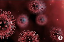 Seorang dokter dan tiga pejabat terpapar COVID-19