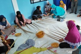 BRI sukses hantarkan Desa Kuala Alam Bengkalis jadi duta Desa BRILian