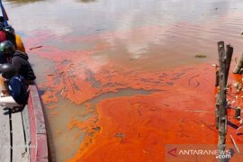 DPRD Sambas segera selidiki tumpahan minyak kelapa sawit mentah di Sungai Sejangkung