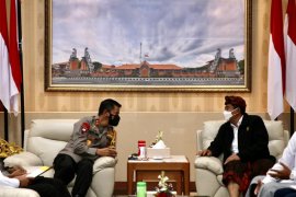 Polda Bali tindaklanjuti laporan dugaan penodaan Agama Hindu