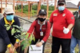 Pemkab Tabalong hijaukan lahan eks TPA Maburai